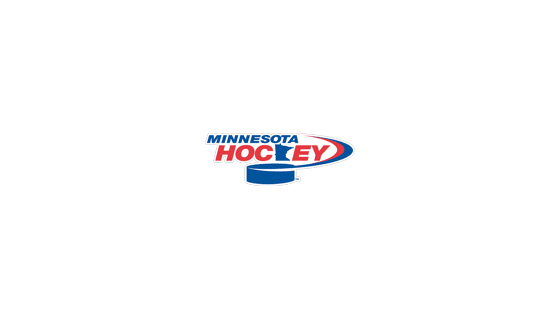 Minnesota Warriors logo