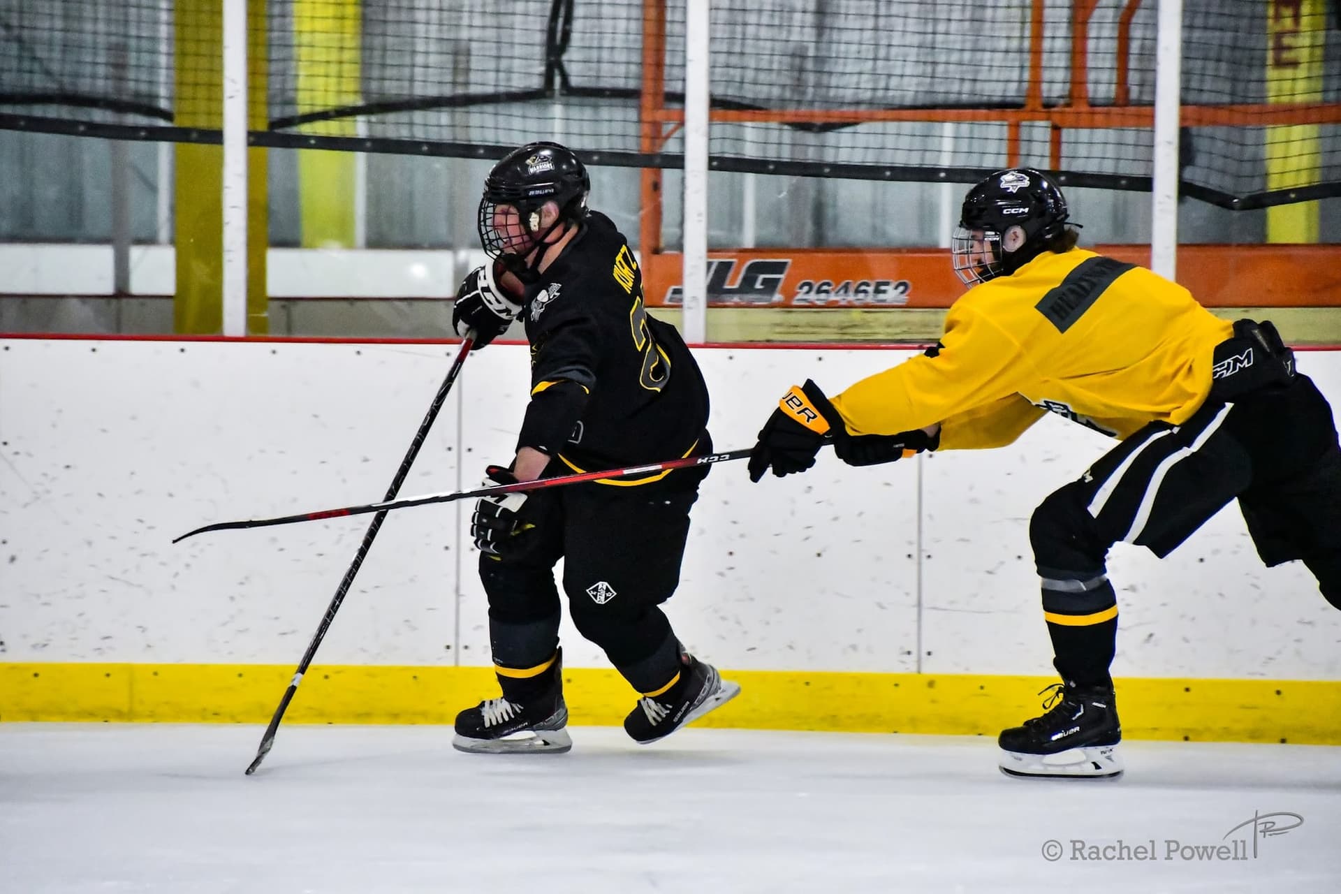 skate-for-sean thumbnail 10