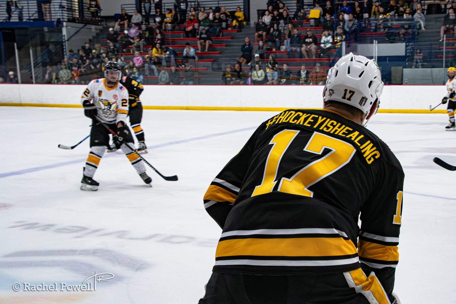 mff-black-and-gold-2026 thumbnail 21