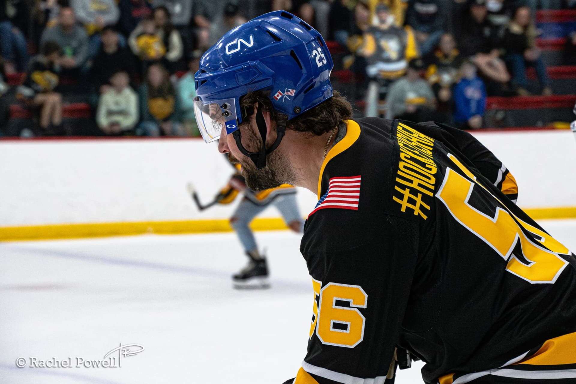 mff-black-and-gold-2026 thumbnail 177