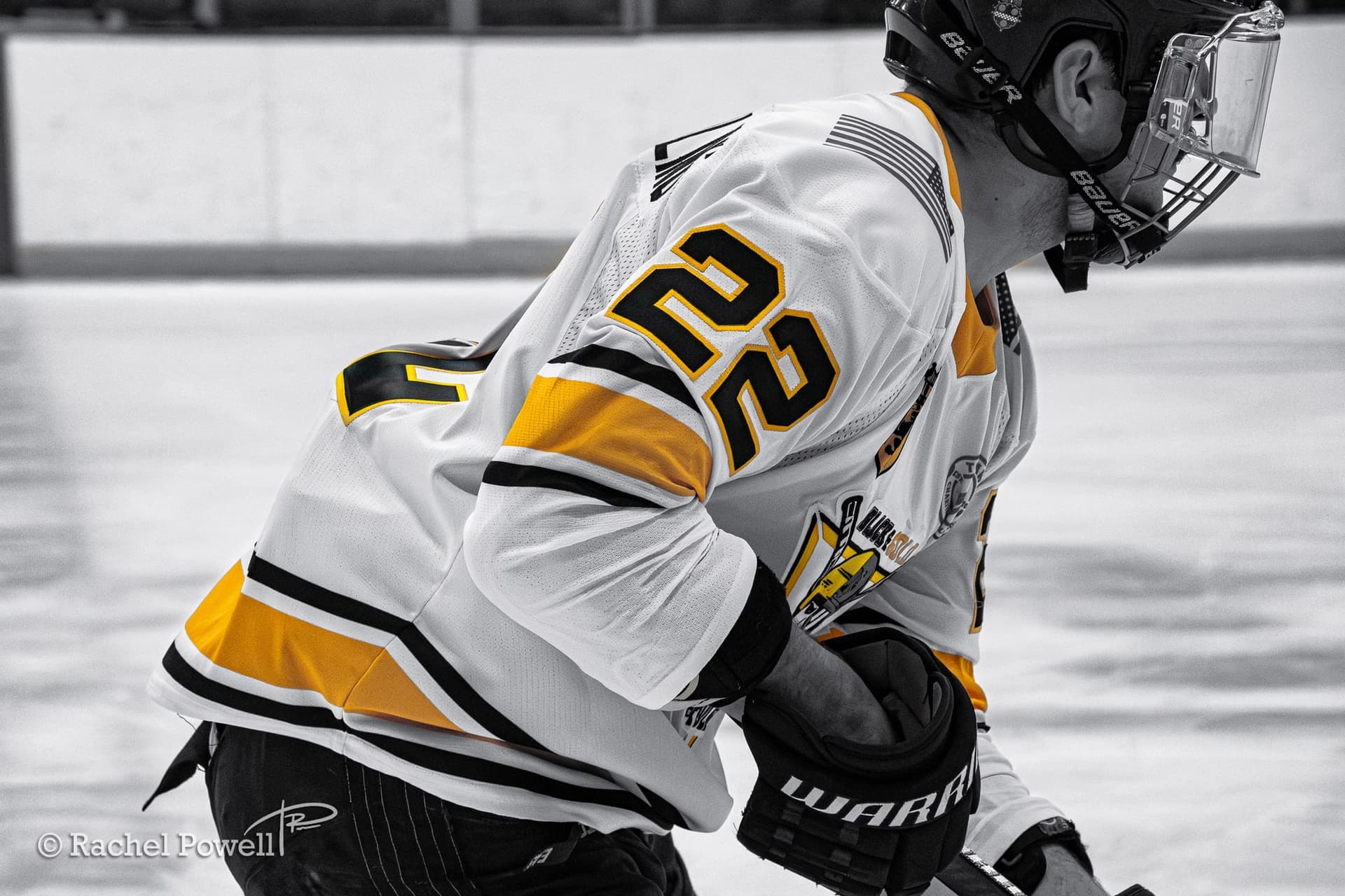 mff-black-and-gold-2026 thumbnail 306