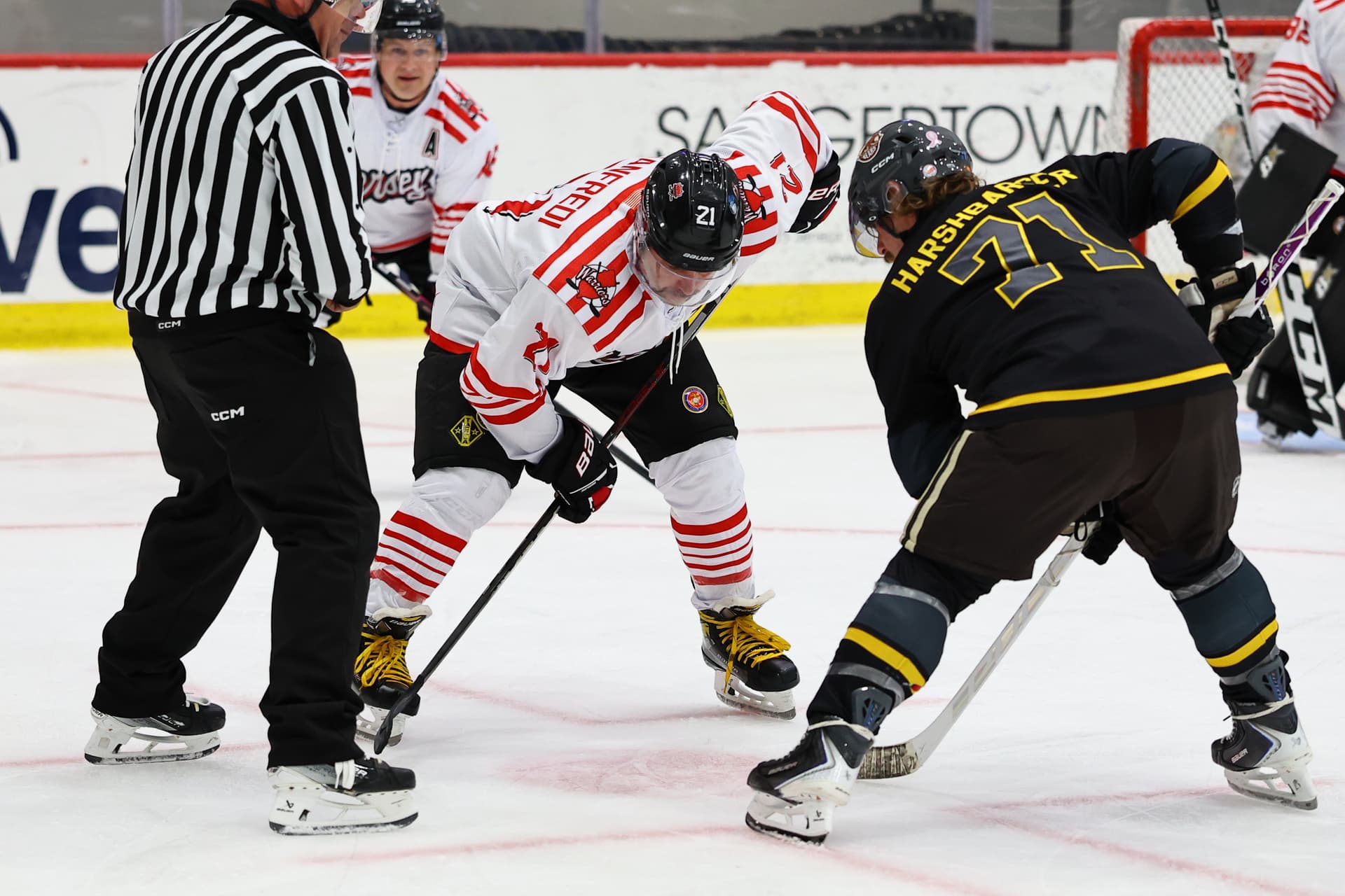 utica-2026-thu-new-jersey thumbnail 326