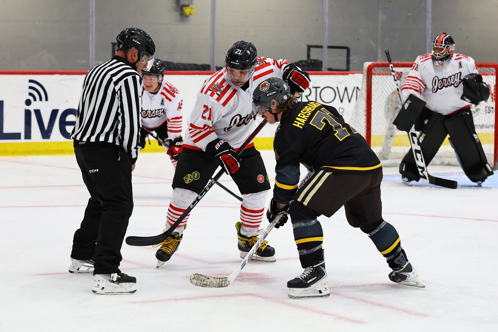 utica-2026-thu-new-jersey thumbnail 327