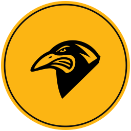 Pittsburgh Warriors Gold logo